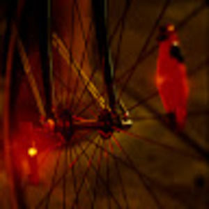 Meet your Posher, Adrienne